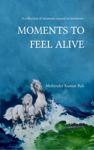MOMENTS TO FEEL ALIVE A collection of moments turned to memories