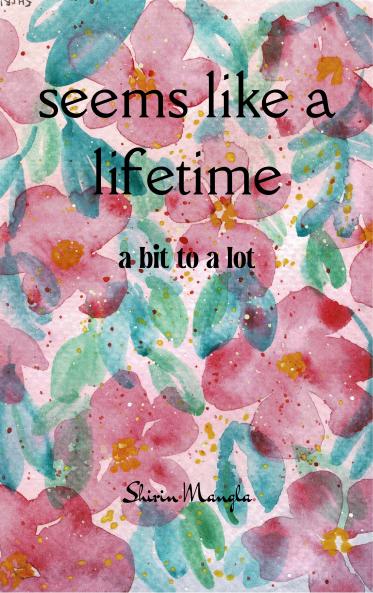 seems like a lifetime a bit to a lot