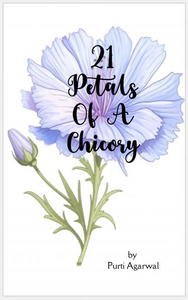 21 Petals of A Chicory!