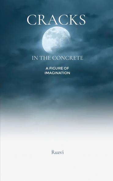 Cracks in the Concrete: A figure of imagination