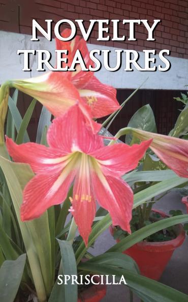 Novelty Treasures