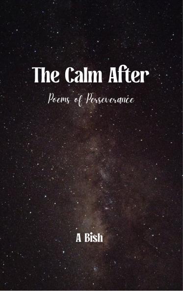 The Calm After - Poems of Perseverance