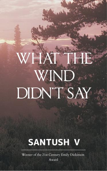 What The Wind Didn't Say