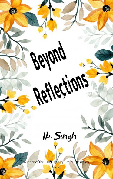Beyond Reflections!-Reflections ++