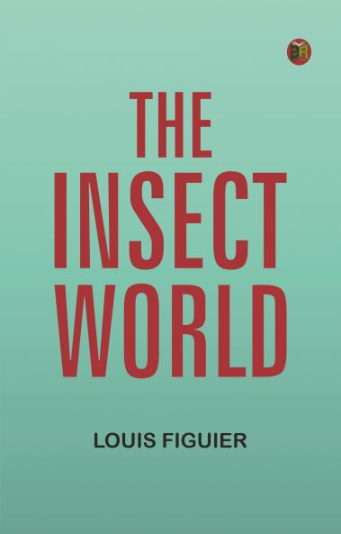 The Insect World