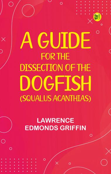 The Neptunian or Water Theory of Creation