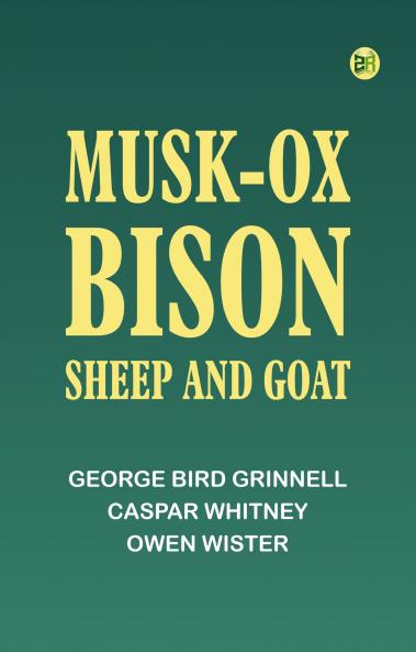 The Bible Douay-Rheims Book 28: Jeremias