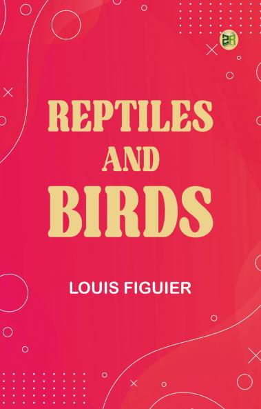 Reptiles and Birds