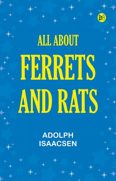All about Ferrets and Rats