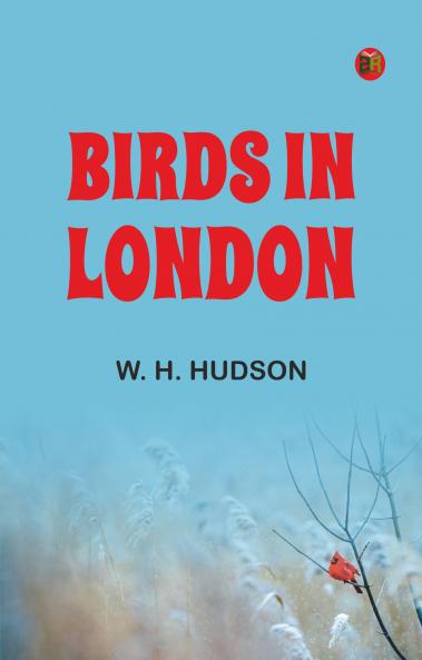 Birds in London