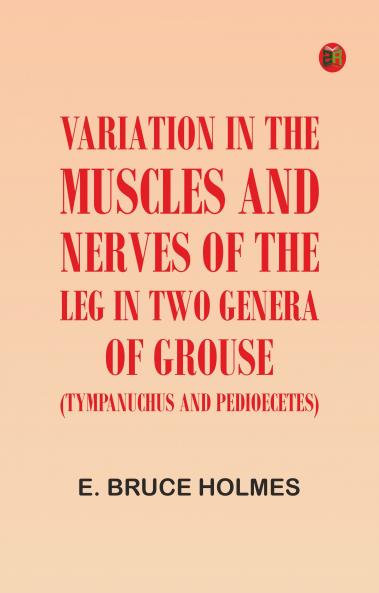 Variation in the Muscles and Nerves of the Leg in Two Genera of Grouse (Tympanuchus and Pedioecetes)