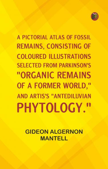 A Pictorial Atlas of Fossil Remains consisting of coloured illustrations selected from Parkinson's Organic remains of a former world and Artis's Antediluvian phytology.