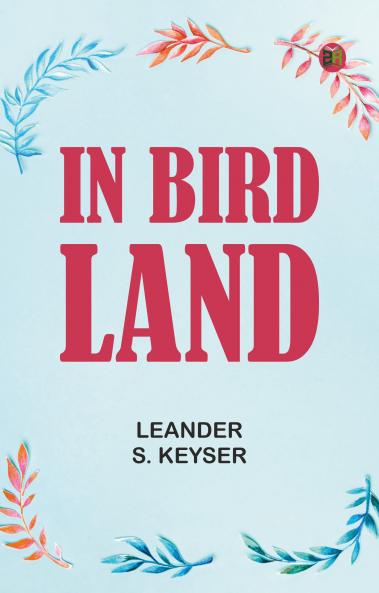 In Bird Land