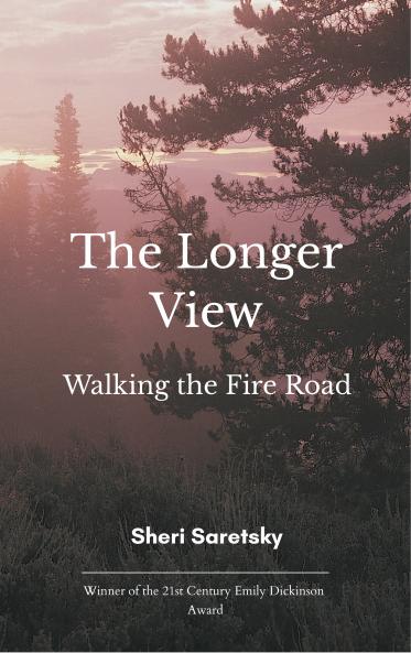 The Longer View - Walking the Fire Road