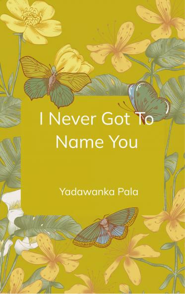 I Never Got To Name You