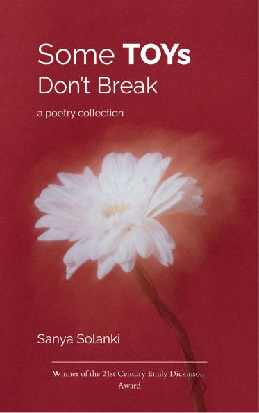 Some TOYs Don’t Break - Ode to the soft the small the still-worthy.