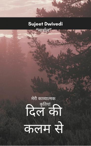 Dil ki kalam se  Meri Kavyatmak Kritiyan