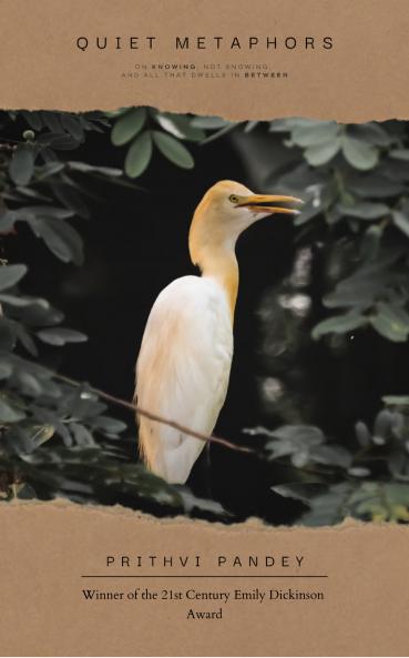 Quiet Metaphors  On knowing not knowing and all that dwells in between.