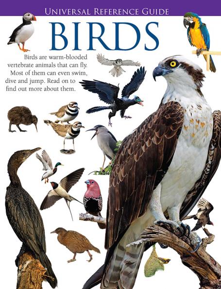 Universal Reference Guide - BIRDS