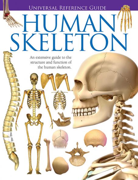 Universal Reference Guide - HUMAN SKELETON