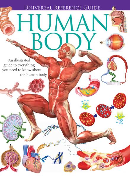 Universal Reference Guide - HUMAN BODY