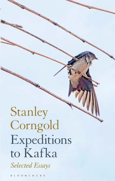 Expeditions to Kafka