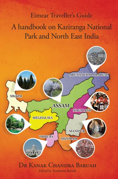 Eimear Traveller's Guide