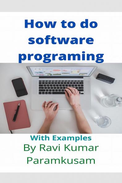 Software Programming with Ravi: With Examples