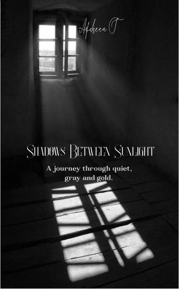 Shadows between sunlight: A journey through quiet gray and gold