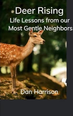 Deer Rising Life Lessons from our Most Gentle Neighbors