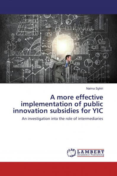 A more effective implementation of public innovation subsidies for YIC