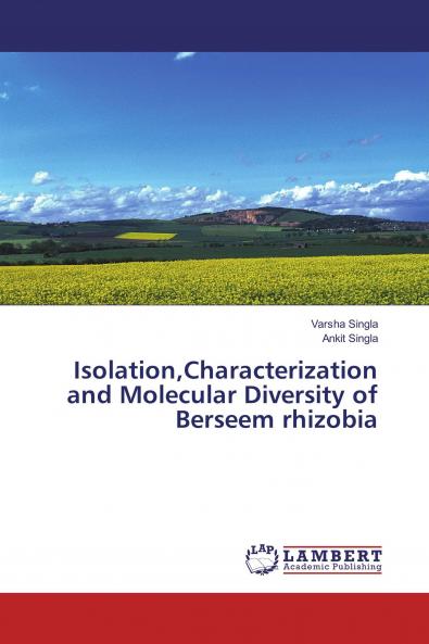 IsolationCharacterization and Molecular Diversity of Berseem rhizobia