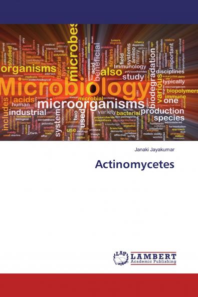 Actinomycetes