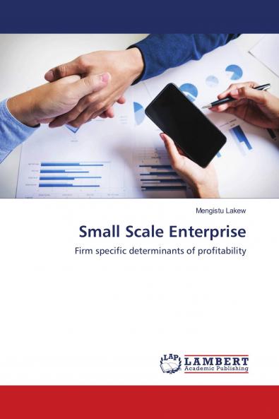 Small Scale Enterprise