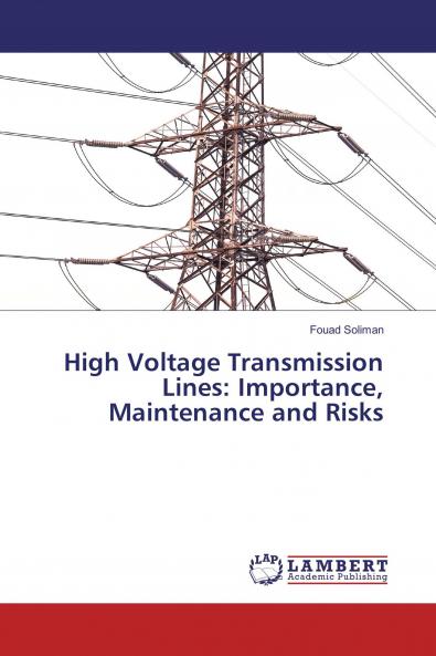 High Voltage Transmission Lines: Importance Maintenance and Risks