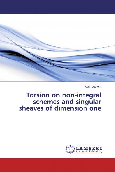 Torsion on non-integral schemes and singular sheaves of dimension one
