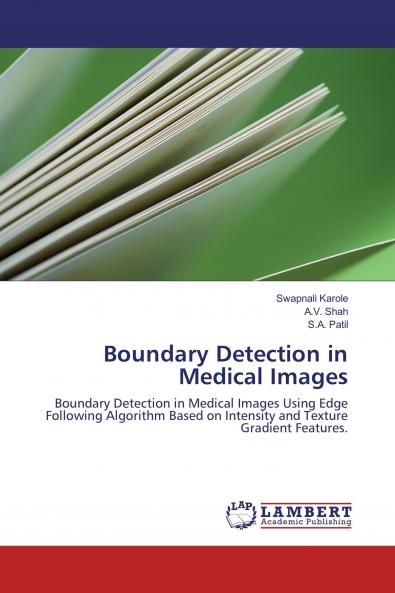 Boundary Detection in Medical Images