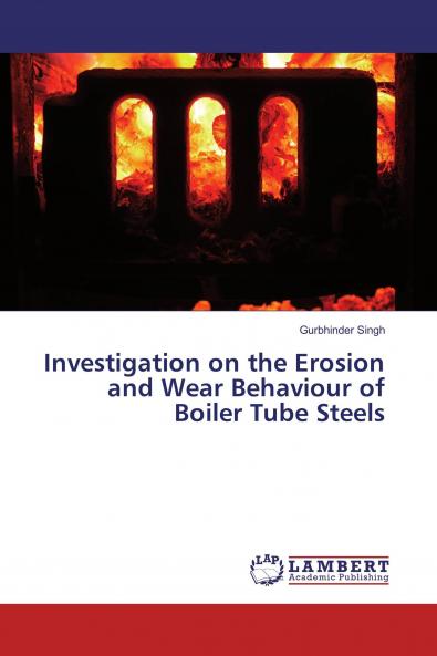 Investigation on the Erosion and Wear Behaviour of Boiler Tube Steels