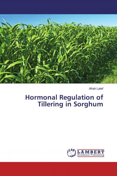 Hormonal Regulation of Tillering in Sorghum