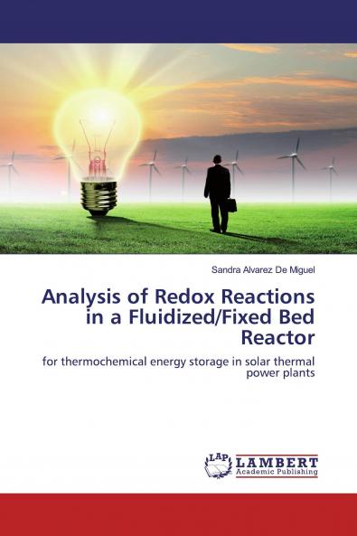 Analysis of Redox Reactions in a Fluidized/Fixed Bed Reactor