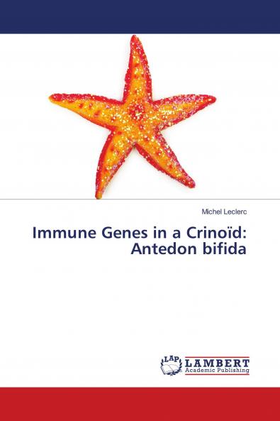 Immune Genes in a Crino��d: Antedon bifida