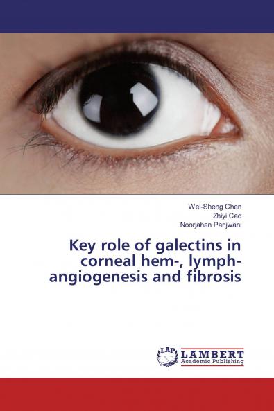 Key role of galectins in corneal hem- lymph-angiogenesis and fibrosis
