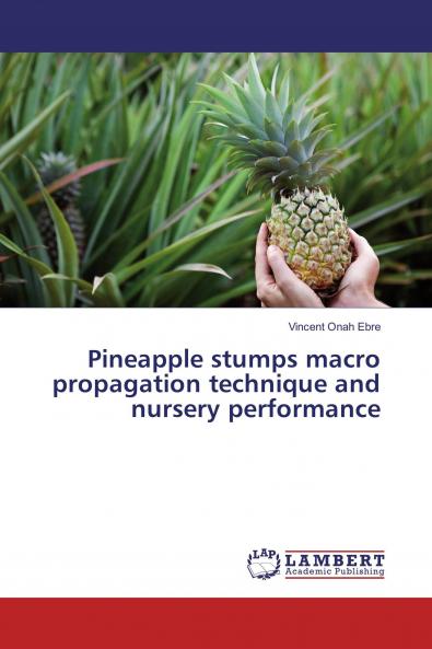 Pineapple stumps macro propagation technique and nursery performance