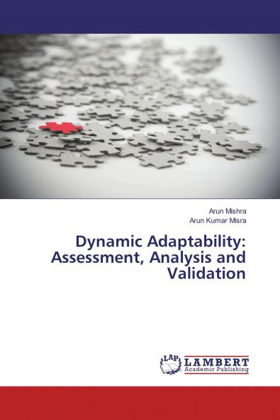 Dynamic Adaptability: Assessment Analysis and Validation