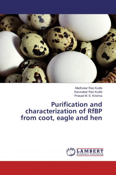 Purification and characterization of RfBP from coot eagle and hen