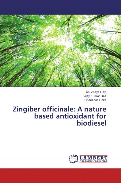 Zingiber officinale: A nature based antioxidant for biodiesel