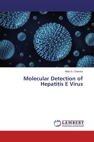 Molecular Detection of Hepatitis E Virus