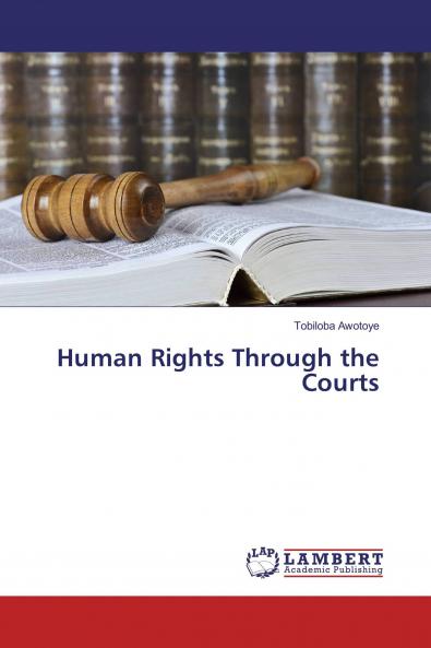 Human Rights Through the Courts