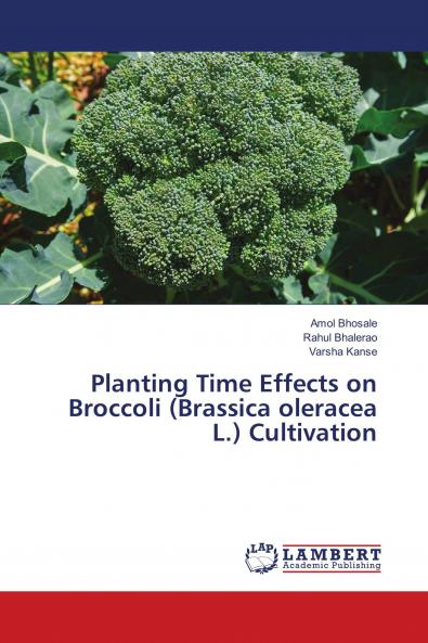 Planting Time Effects on Broccoli (Brassica oleracea L.) Cultivation