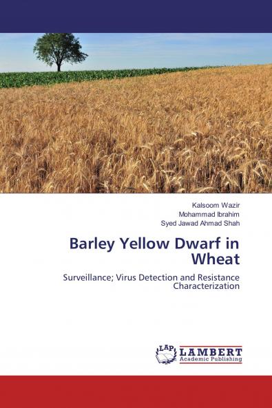 Barley Yellow Dwarf in Wheat